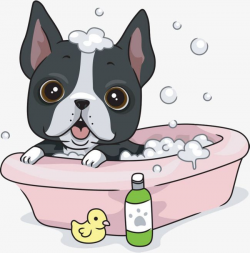 Dogs Take A Bath, Dog, Take A Bath, Bathtub PNG Transparent ...