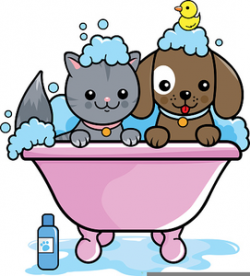 Free Dog Bath Clipart | Free Images at Clker.com - vector ...