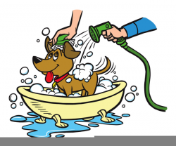 Bath clipart dog bath, Bath dog bath Transparent FREE for ...