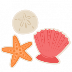 Free Seashells Cliparts, Download Free Clip Art, Free Clip Art on ...