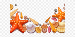 Beach Clipart Seashell - Transparent Shells Png (#3371351) - PinClipart