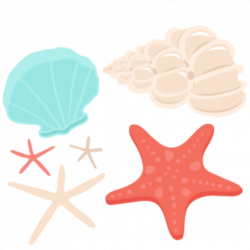 Beach clipart seashell, Beach seashell Transparent FREE for download ...