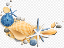 Seashell, Beach, Sea, transparent png image & clipart free download