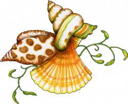 Free Seashells Cliparts, Download Free Clip Art, Free Clip Art on ...