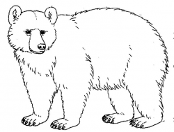 Bear clipart black and white 5 » Clipart Station