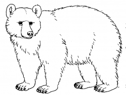 Bear black and white black bear clipart outline black and white ...