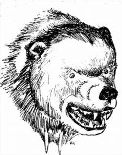 Free fierce-bear-head-sketch Clipart - Free Clipart Graphics, Images ...
