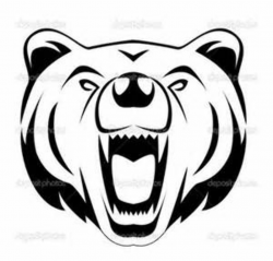 Fierce Bear Face Grapgic - - Yahoo Image Search Results | CFKI ...