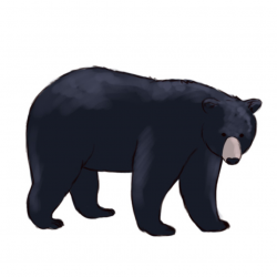 Free Black Bear Outline, Download Free Clip Art, Free Clip Art on ...