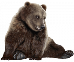 Bear PNG Clip Art - Best WEB Clipart