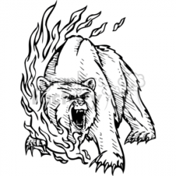 black and white roaring bear in fire clipart. Royalty-free clipart # 373396
