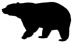 Standing bear clipart free clipart images - Clipartix | Scrapbook ...