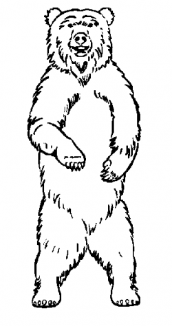 a bear standing Colouring Pages (page 3) - Clip Art Library