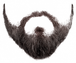 Moustache clipart real, Moustache real Transparent FREE for ...