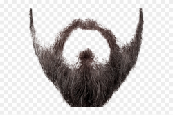 Realistic Clipart Beard - Transparent Background Beard Png ...