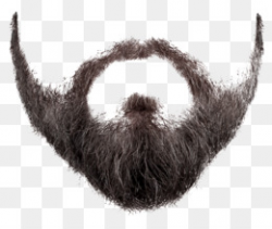 Beard PNG - Beard Vector, Santa Beard, Bearded Man ...