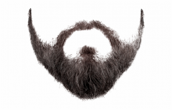 Beard Png Image Transparent Background Moustache Png - Clip ...