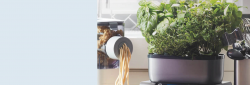 Catalogs | Bed Bath & Beyond
