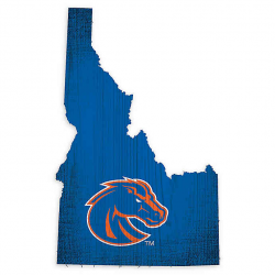 Boise State University Team Color Logo State Sign | Bed Bath ...