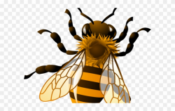 Bees Clipart Transparent Background - Realistic Bee Clipart - Png ...