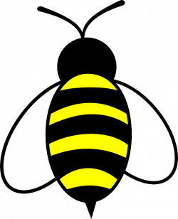 Free Image on Pixabay - Honey, Bee, Bug, Insect, Buzz | Halloween ...