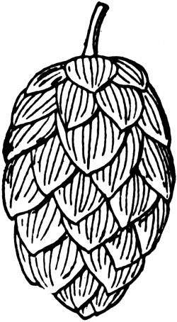 Hop 20clipart | Beer art, Hop tattoo, Clip art
