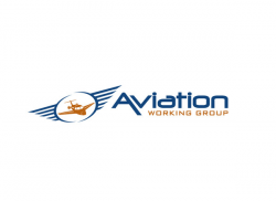create the best amazing aviation logo design for your in short time