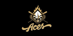 Aces | Logos design, Best logo design, Logo inspiration