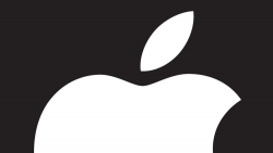 Simple Logos are the Best - Logo Lessons from Siegel+Gale