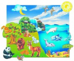 11 Best creation images in 2013 | Activities, Bible stories ...
