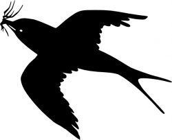 Flying Bird clip art Free vector in Open office drawing svg ( .svg ...