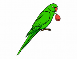 Lovebird Clipart Green Wedding - Parrot Bird Clipart Free PNG Images ...