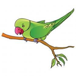 Free Parrot Cliparts, Download Free Clip Art, Free Clip Art on ...