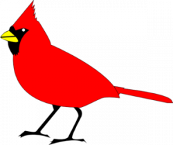 Red Bird Clipart & Free Clip Art Images #12899 - Clipartimage.com