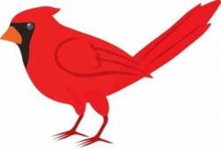 bird clipart | red cardinal bird clipart illustration by rosie piter ...
