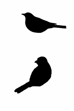 Sitting bird silhouette, cut out for canvas art :) | Stencils | Bird ...