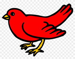 Red Small Bird Clipart Png - Red Bird From Brown Bear Book ...