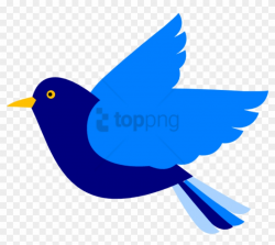 Free Png Blue Bird Png Image With Transparent Background ...