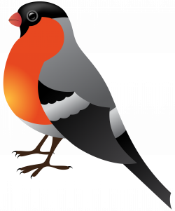 Winter Bird Transparent PNG Clip Art | Gallery Yopriceville - High ...