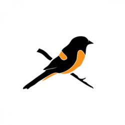 Bird Logo