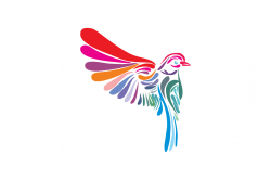 colorful bird logo