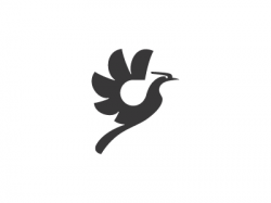 Paradise Bird Logo by Petar Shalamanov on Dribbble