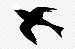 Black Bird Cartoon Logo - LogoDix