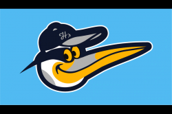 Orioles\' cartoon logo transformed into other birds through ...