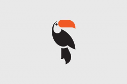 identity and website for their new Brazilian Inspired ...