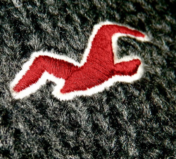 Bird fashion Logos