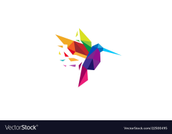 Creative colorful humming bird logo