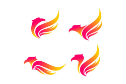 Animal eagle bird fly vector logo