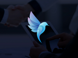 Blue Bird Logo Design by Slobodan Gajinov on Dribbble