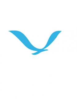 flying bird logo - Google Search | Bird logos, Wind logo, Logos